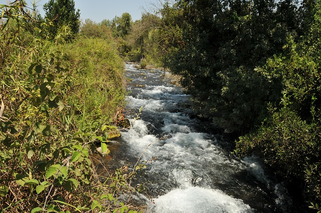 rzeka Dan jest głównym źródłem słodkiej wody wpływającej do morza Galilei